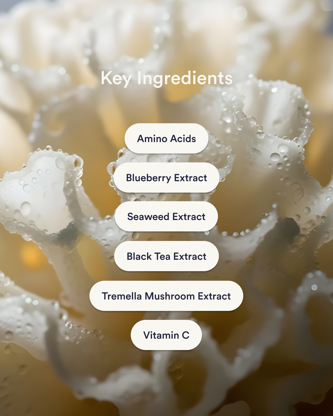 Vitala - Collagen Patches