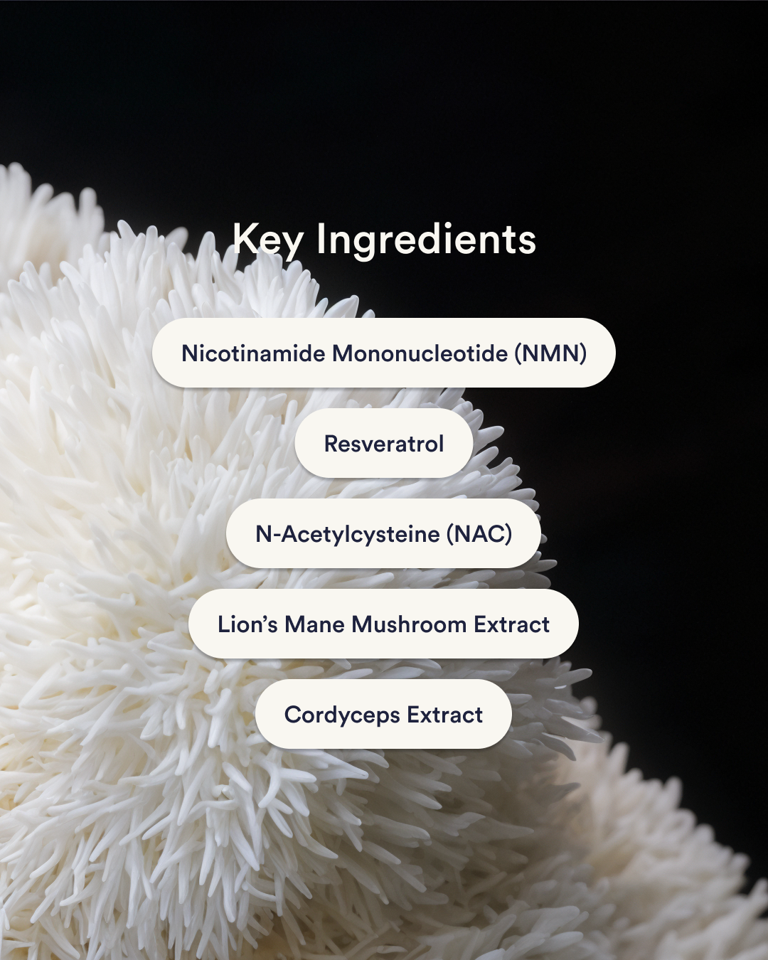 Vitala - Patchs de NAD+